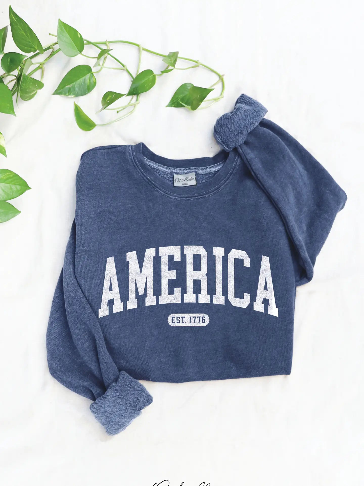 Oat Collective America Est 1776 Mineral Graphic Sweatshirt - Vintage Denim