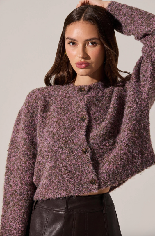 Sebille Textured Fuzzy Knit Cardigan