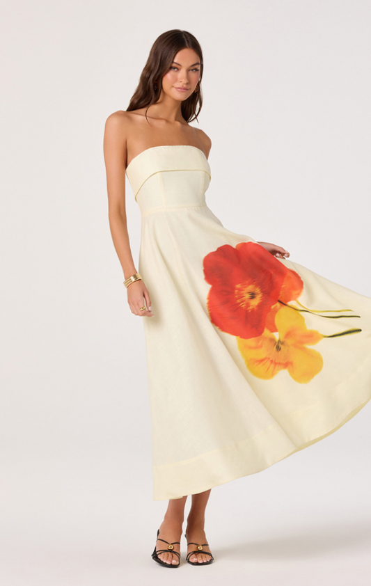 Ximena Dress - gilt+gossamer