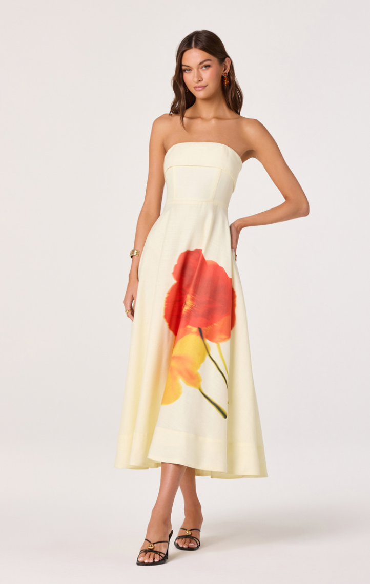 Ximena Dress - gilt+gossamer